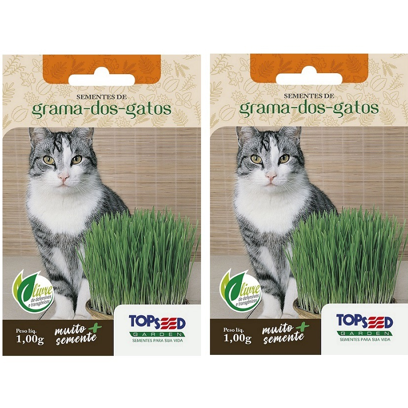 2X Sementes de Grama dos Gatos Cat Grass Pet Anti Stress